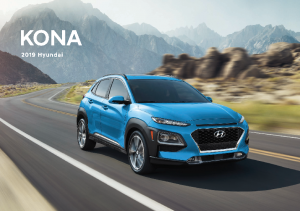 2019 Hyundai Kona
