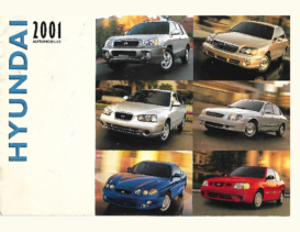 2001 Hyundai Full Line