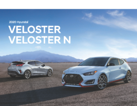 2020 Hyundai Veloster