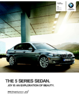 2011 BMW 5 Series Sedan V2