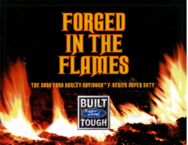 2009 Ford F -Series Harley Davidson Super Duty