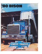 1980 Chevrolet Bison