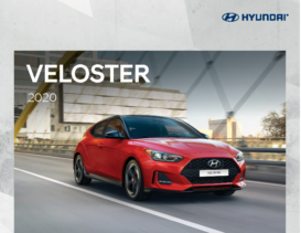 2020 Hyundai Veloster CN
