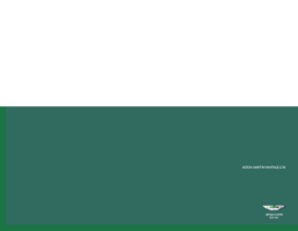 2009 Aston Martin GT4