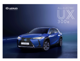 2021 Lexus UX 300e ID