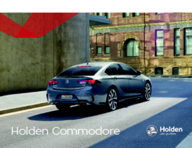 2018 Holden Commodore NZ