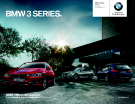 2015 BMW 3 Series CN